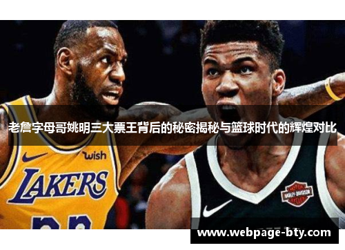 老詹字母哥姚明三大票王背后的秘密揭秘与篮球时代的辉煌对比