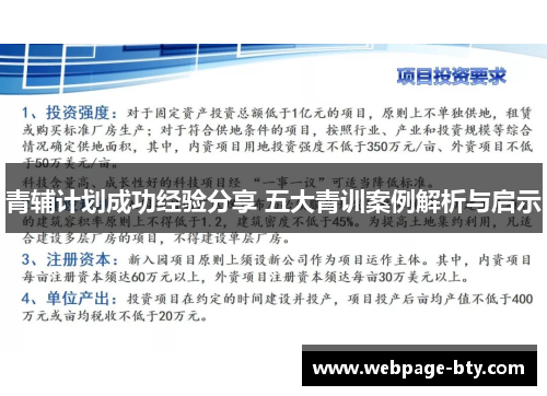 青辅计划成功经验分享 五大青训案例解析与启示