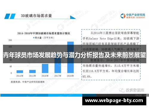 青年球员市场发展趋势与潜力分析报告及未来前景展望
